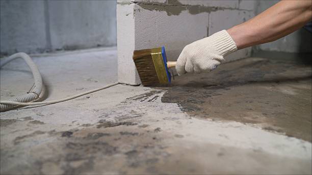 Top rated local Waterproofing specialists in Citronelle, AL